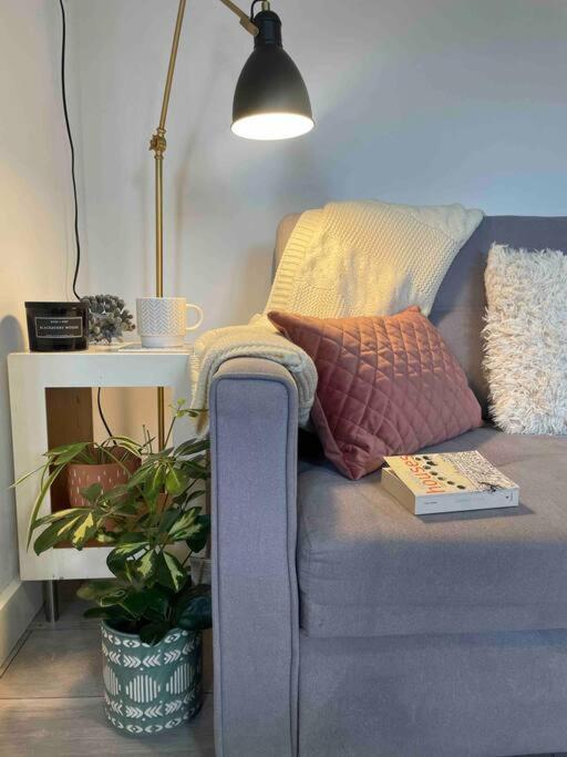 One Bedroom Putney Village Flat Londres Exterior foto